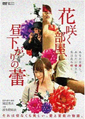 老房砖混结构私人定制影院加固改造